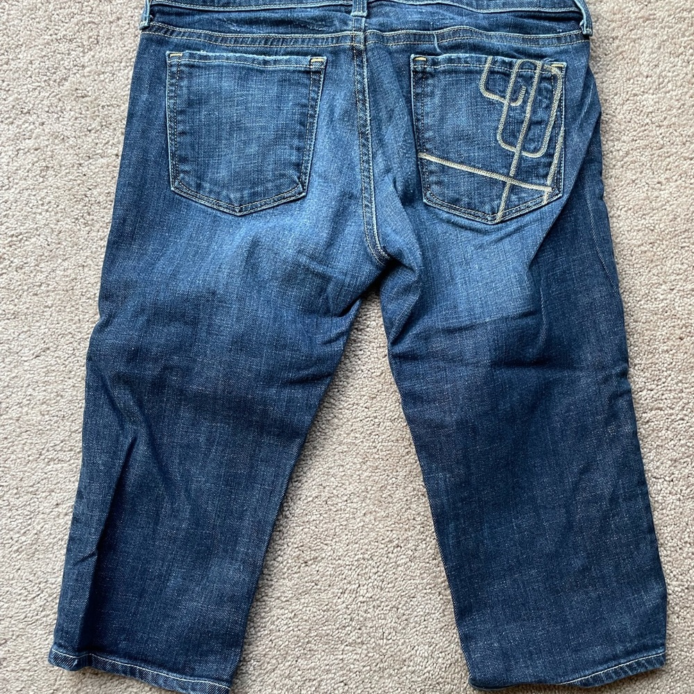 Citizens of Humanity capri pants
